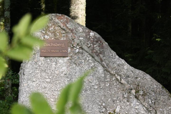 Der Dachsberg