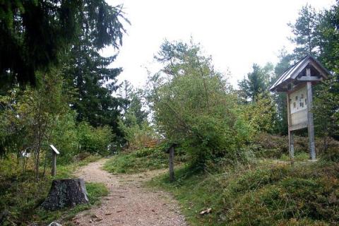 Dachsberg-Baumlehrpfad